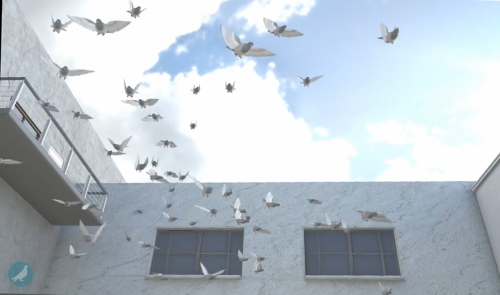 Flying Pigeons